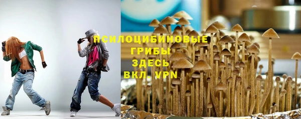 мдпв Новый Уренгой