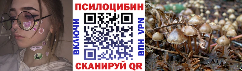 Галлюциногенные грибы Cubensis  купить наркоту  МЕГА сайт  Назрань 