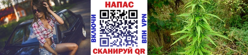 Бошки Шишки индика  Назрань 